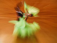 Спортивные бальные танцы: результаты всеизраильского турнира в Модиине