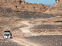 Египетские военные объявили о ликвидации 16 террористов на севере и в центре Синая