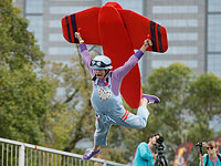 Свистать всех вниз: конкурс пилотов в Мельбурне. Фоторепортаж