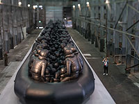 Biennale of Sydney: выставка современного искусства на острове. Фоторепортаж 
