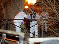 СМИ: российским политэмигрантам в Великобритании предоставляют охрану