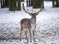 На берега Британии обрушился весенний шторм. Фоторепортаж 
