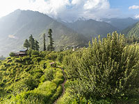 Найдено тело израильтянина Ури Зиндера, который пропал в Индии