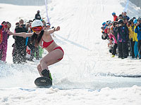 Naked Pig Skiing: 