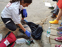 Парамедики МАДА оказали медицинскую помощь коту, спасенному из пожара