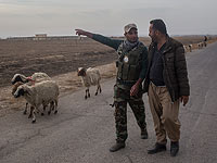 Эрдоган заявил о вводе войск в Синджар, Ирак опровергает