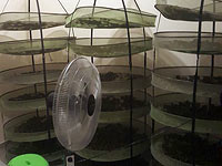 В Кфар-Тавор обнаружена лаборатория по производству наркотиков