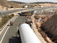 В результате ДТП в Испании погиб слон