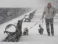 Апрельский шторм в Нью-Йорке: самый сильный за последние 30 лет. Фоторепортаж 
