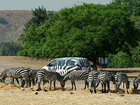 Затруднено движение возле