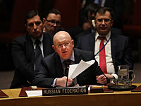 Россия хочет  привлечь Совбез ООН к расследованию 