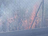 В мошаве Горен в Галилее вспыхнул пожар