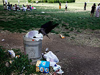 Отдыхающие оставили на берегах речек в Верхней Галилее 50 тонн мусора