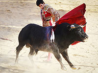 Праздник вина и зрелищ: коррида в Тихуане. Фоторепортаж 

