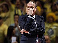 Цвика Шерф возглавил 