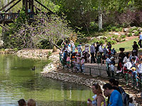 Подозрение: работник Иерусалимского библейского зоопарка пытался украсть утят