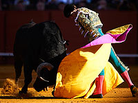 Feria de Abril: коррида на фестивале в Севилье. Фоторепортаж