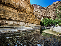 Маршрут вдоль ручья Дарга закрыли для туристов