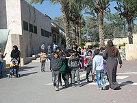 Реализация программы сокращения дискриминации арабского меньшинства: данные правительства