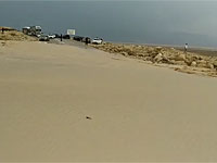 В Негеве проводятся операции по спасению подростков, застигнутых в пустыне бурей