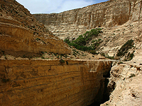 Парк Эйн-Авдат закрыт из-за угрозы наводнения