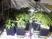 В горящем доме в Бат-Яме полицейские обнаружили