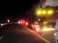 На 6-м шоссе под колесами грузовика погиб мужчина