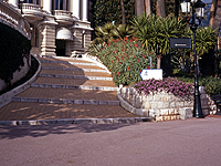 В Монако 92-летняя женщина умерла после того, как на нее упал кактус