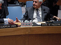 ПНА возмущена: пропалестинская декларация провалена из-за раскола в ЕС