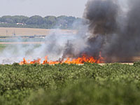 Вспыхнул пожар возле батарей системы ПРО 
