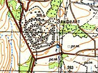 В мошаве Элифелет брошена шоковая граната и сожжен автомобиль