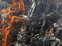 В связи с опасностью возгораний пожарные просят отдыхающих не разводить огонь