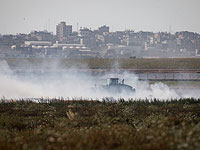 Из-за террора воздушных змеев фермерам предлагают начать раннюю жатву