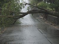 В США во время съемок репортажа о сильных дождях погибли двое журналистов