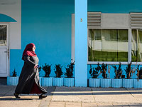 В Дании запретили носить в общественных местах головные уборы, закрывающие лицо