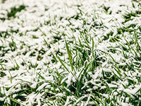 В первый день лета в Поволжье выпал снег