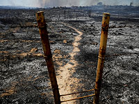 Выжженная земля: так Газа 