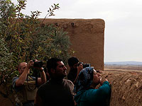 11 мирных сирийцев погибли в результате атаки западной коалиции