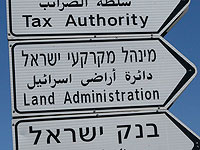 Отчет McKinsey: работа Земельного управления и после реформы осталась неэффективной