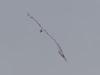 Завершен прием писем с предложениями о методах борьбы против