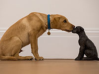 Современное британское искусство на аукционе Sotheby's. Фоторепортаж 
