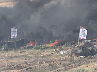 Пресс-служба ЦАХАЛа сообщает о провокациях на границе сектора Газы. ВИДЕО