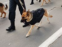 На востоке Финляндии задержан мужчина, носивший с собой взрывное устройство