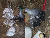 Террористы из Шхема готовили взрывы в Иерусалиме и Тель-Авиве