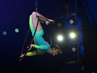 Саудовского чиновника отправили в отставку из-за российских циркачек