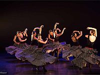 Скоро в Израиле красочное шоу 