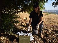 Полиция задержала шестерых жителей Умм эль-Фахма, подозреваемых в торговле наркотиками и боеприпасами