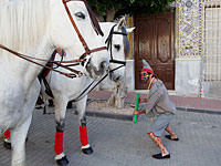 В Испании проходит фестиваль Los Conversos, посвященный  еврейской культуре