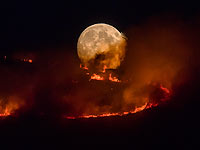 Пожары в Манчестере: зеленые холмы Англии в огне. Фоторепортаж