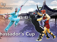 На этой неделе в Реховоте состоятся соревнования по ушу 